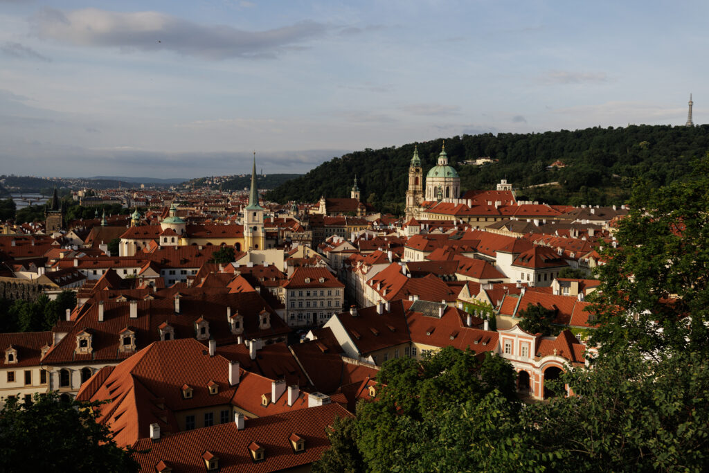 Panoramic view of red rooftops in Prague from a hill viewpoint